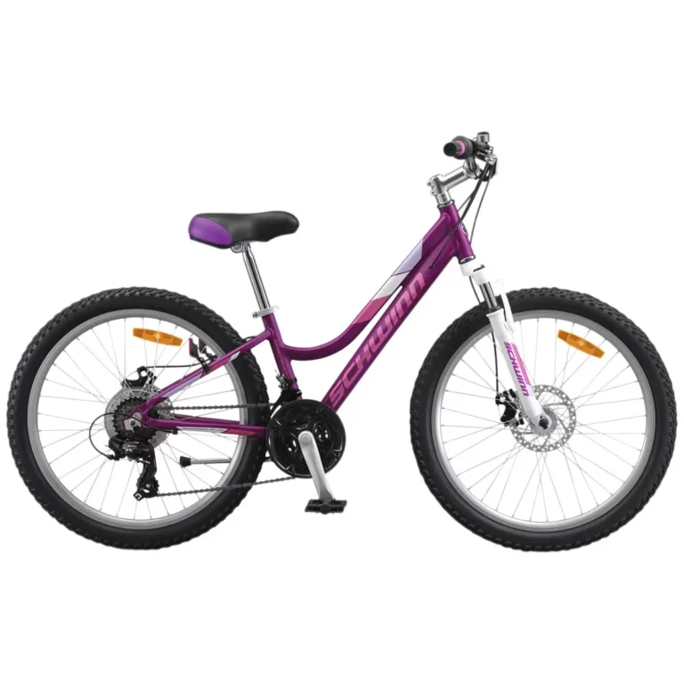 Schwinn Breaker Disc 24 Inch Youth Bike