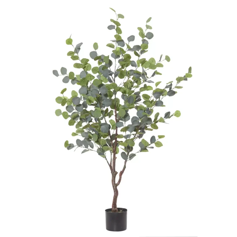 Rogue  Eucalyptus Tree Green 145cm