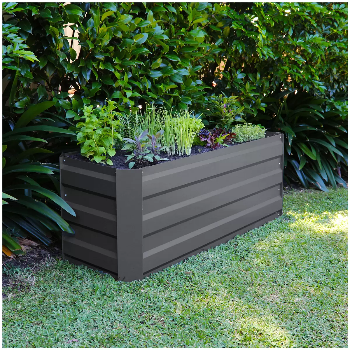 Green Life Slim GARDEN BED with Cover - Charcoal