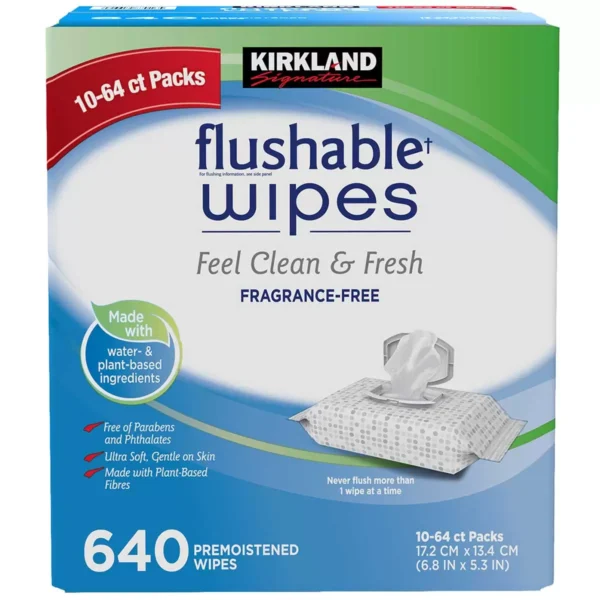 Kirkland Signature Flushable Wipes 640 Count