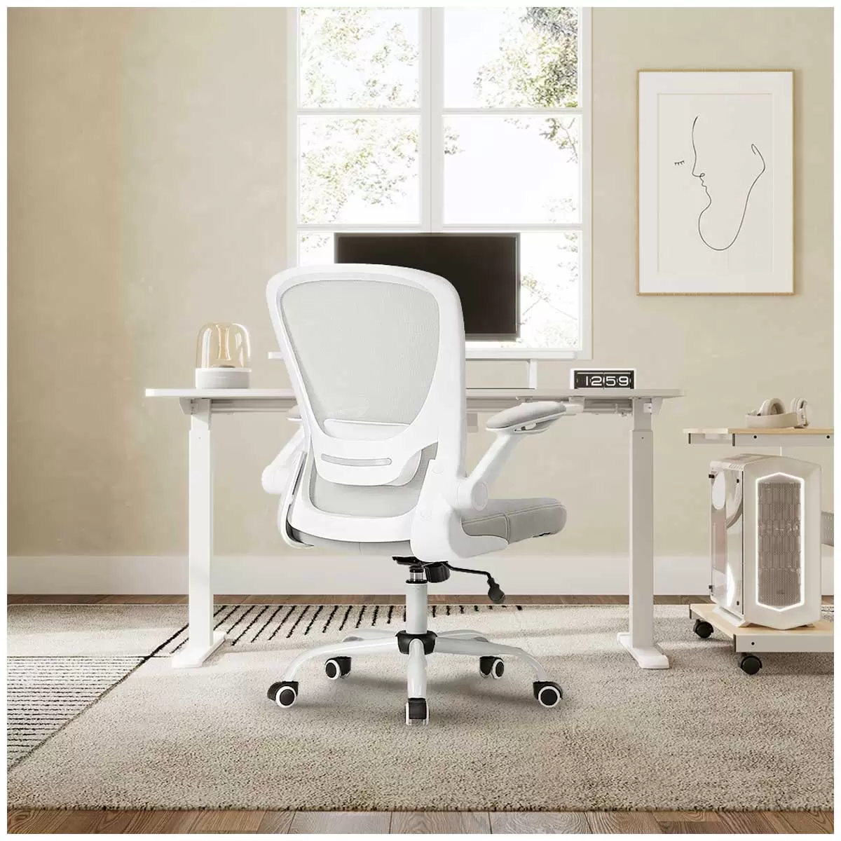 Eureka OC06 ONYX Ergonomic Office Chair