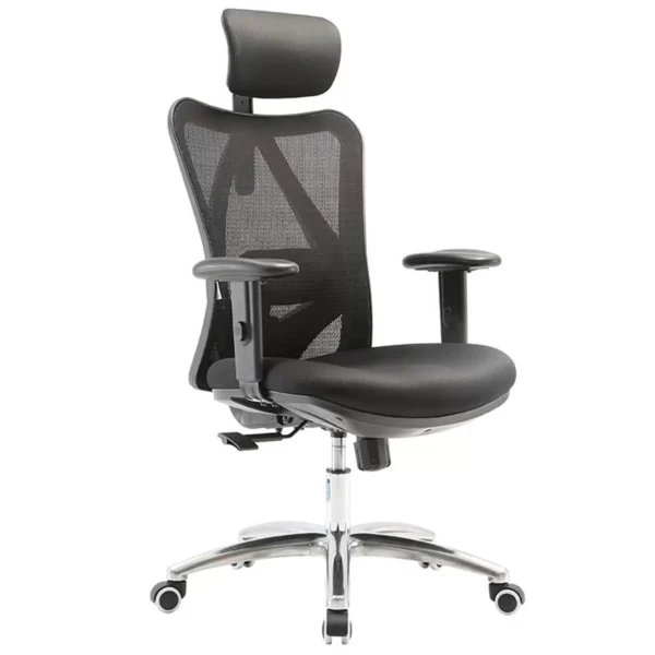 Sihoo Ergonomic Office Chair M18