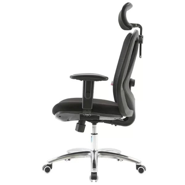 Sihoo Ergonomic Office Chair M18