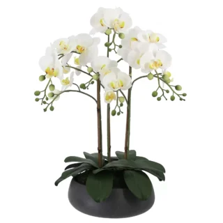 Faux Phalaenopsis Orchid Arrangement