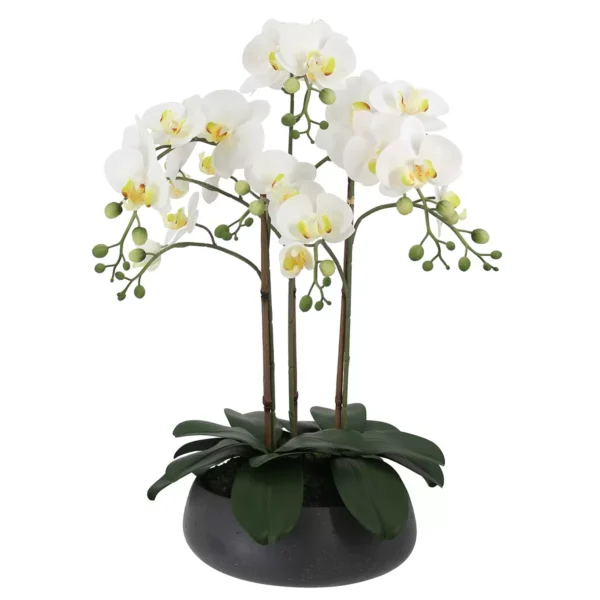 Faux Phalaenopsis Orchid Arrangement