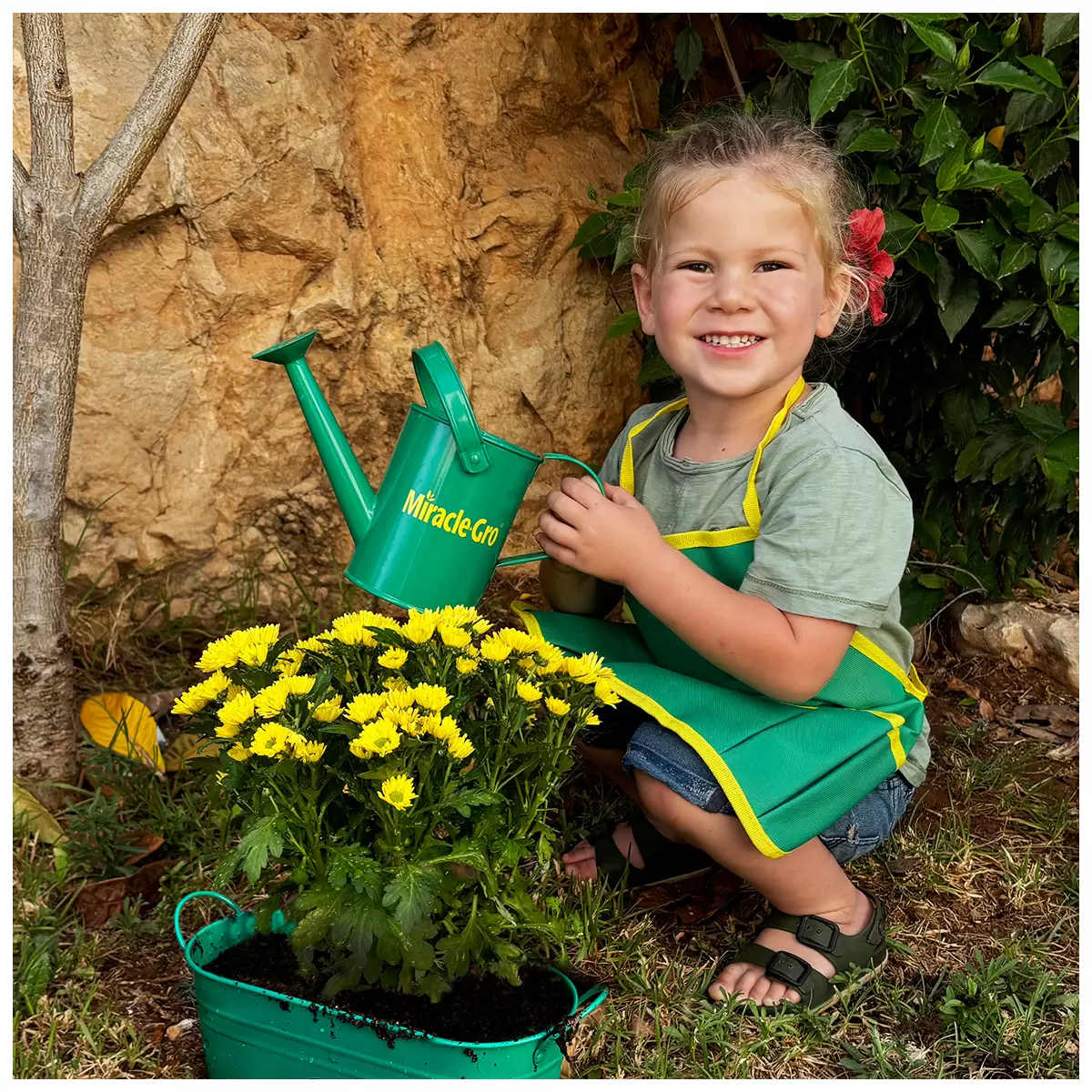 Miracle Gro Gardening Set Without Seeds